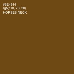 #6E4914 - Horses Neck Color Image